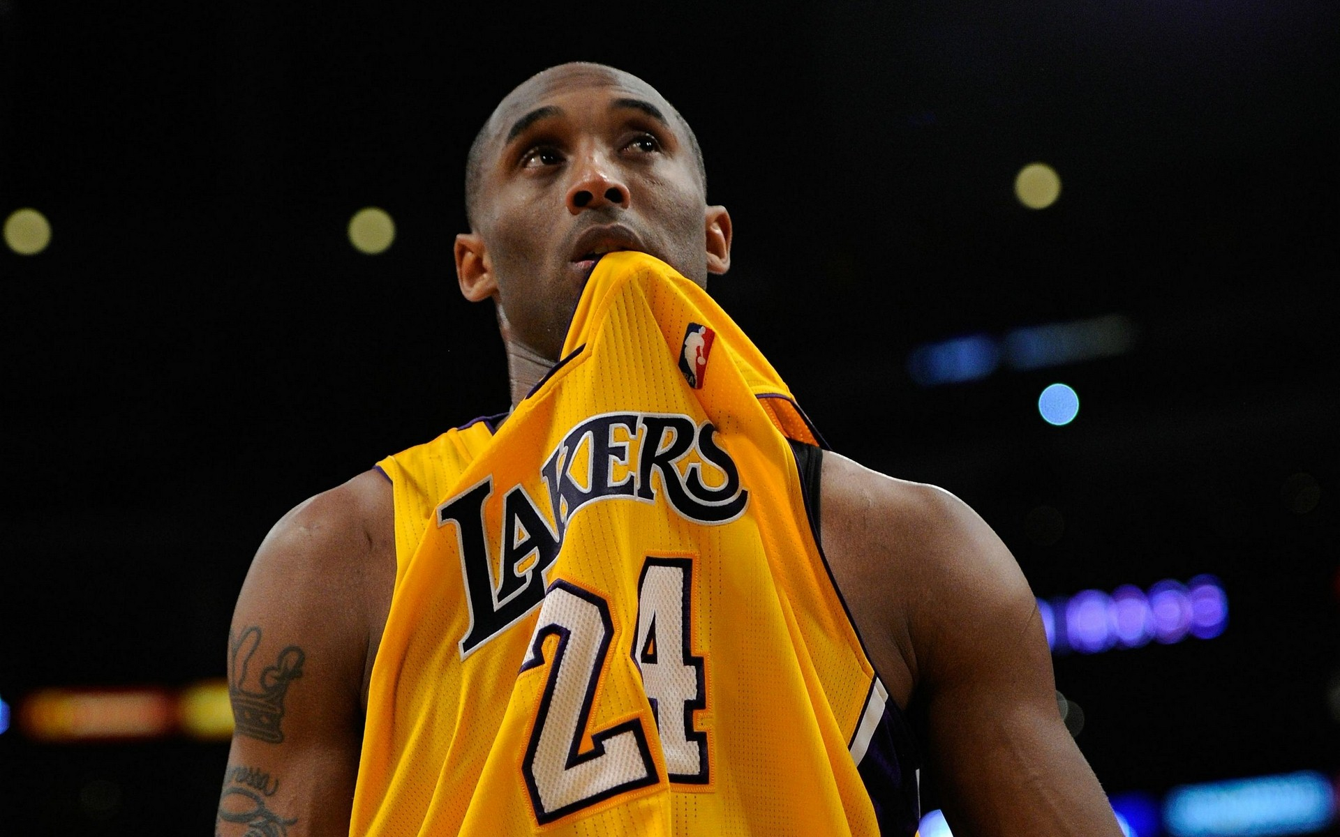 充分体现 充分体现