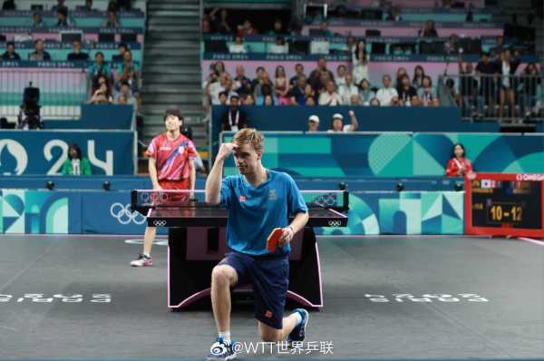 仅仅是应对 仅仅是应对